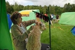 Förberedelser