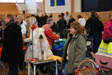 Adore innan allt körde igång