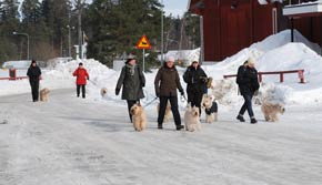 Promenixgänget på G