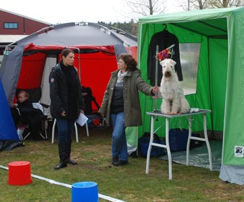 Annica, jag och Adore