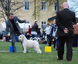 "Militärsik granskning"